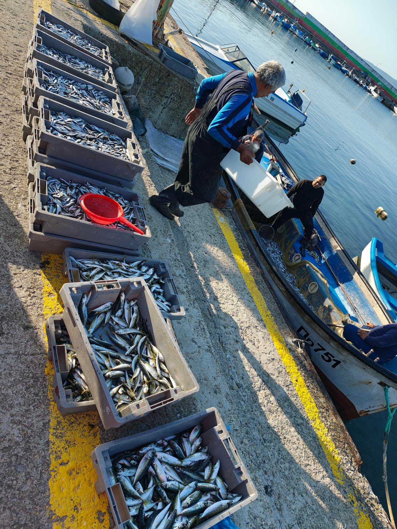 Въздушна снимка на кашони риба на пристанище