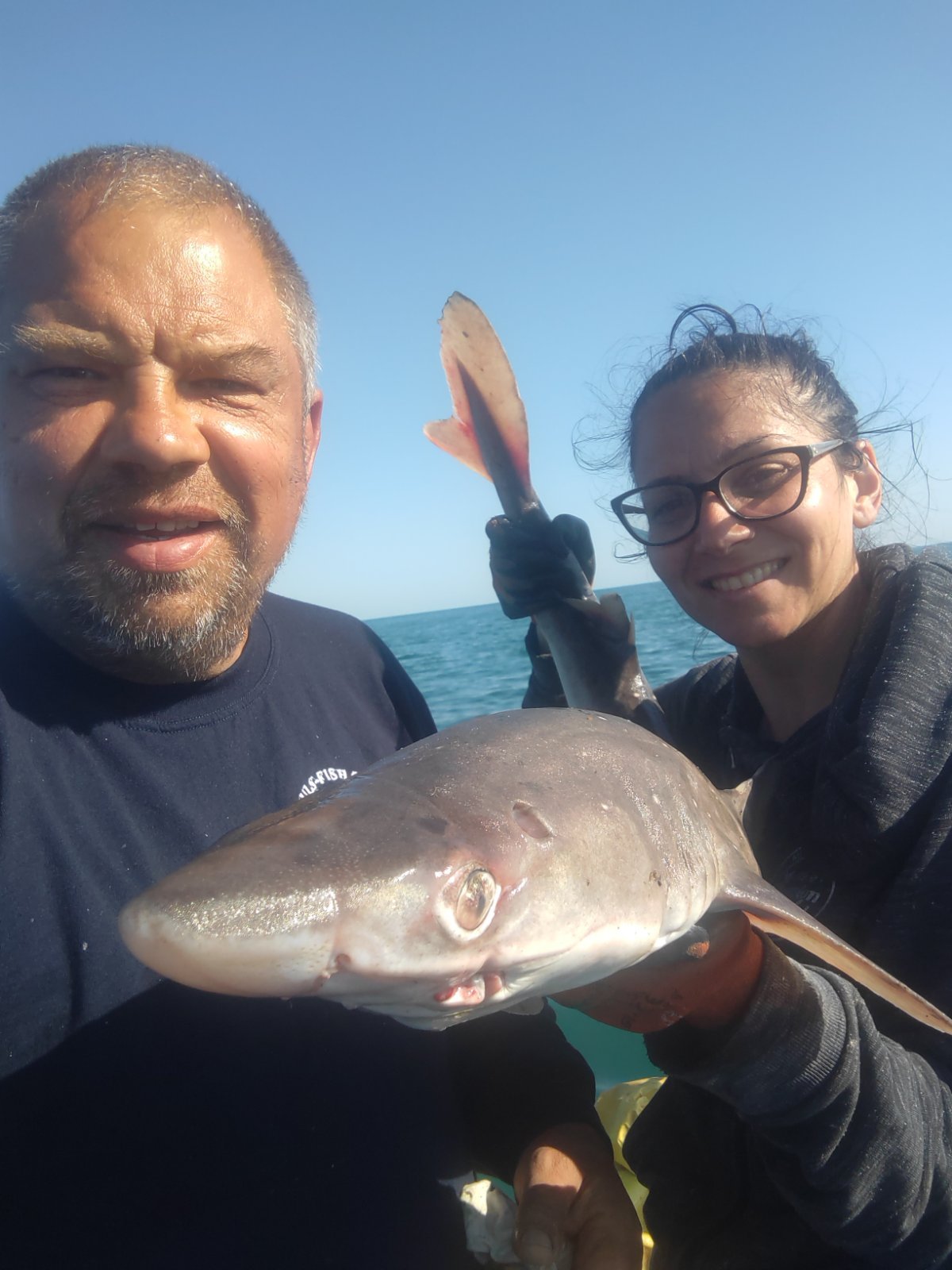 Двойка с акула селфи