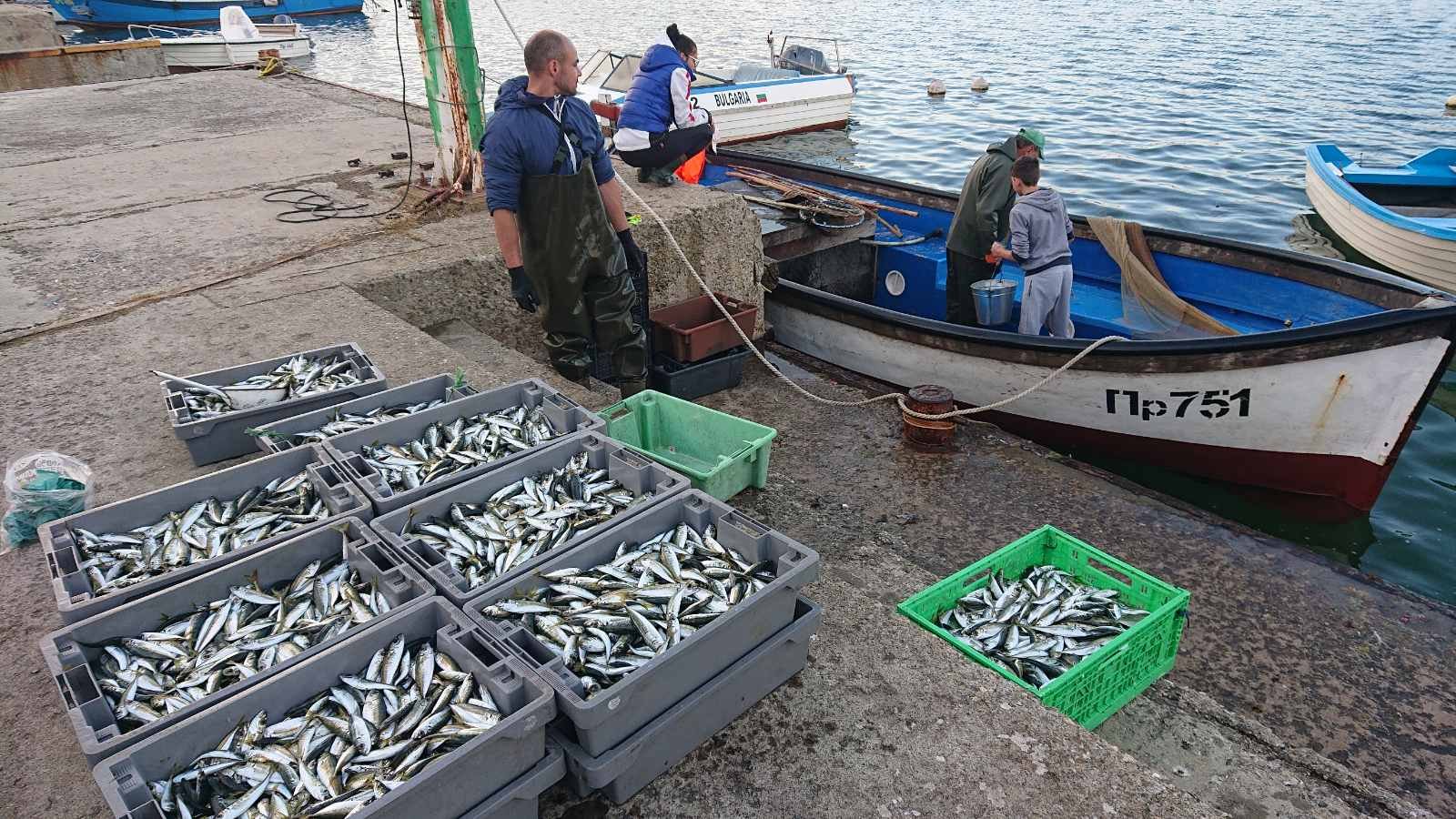 Пристанищна сцена с лодка ПР751